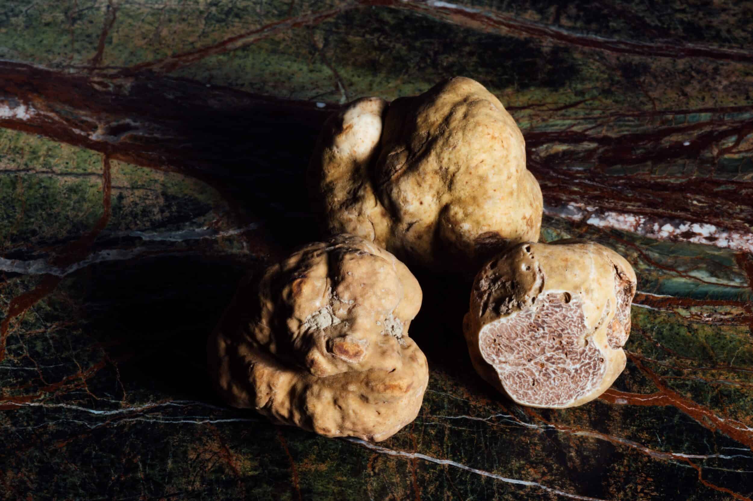 Tuscany Italy White Truffles