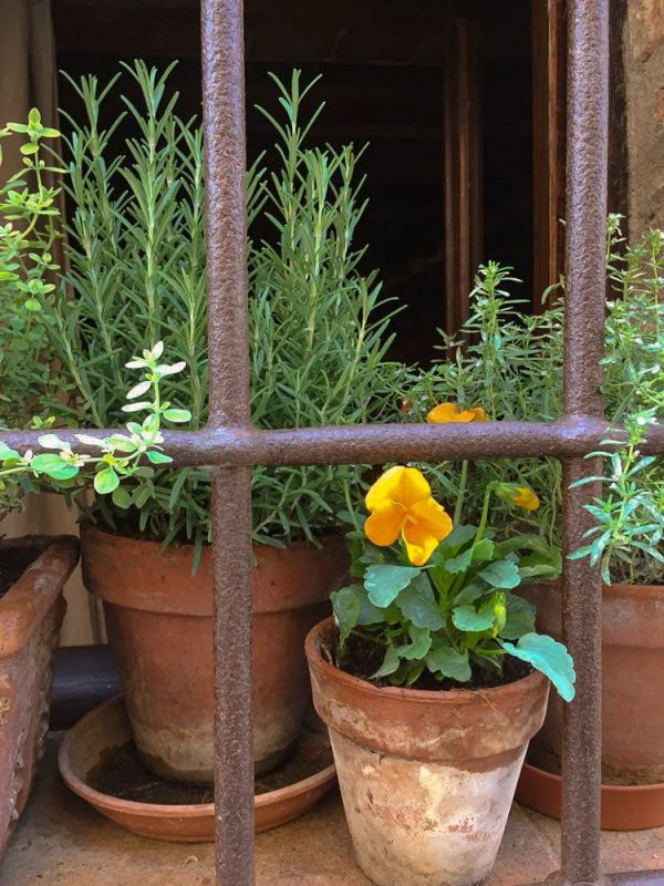 Borgo di Sotto Toscana Montefollonico Window Herb Pots