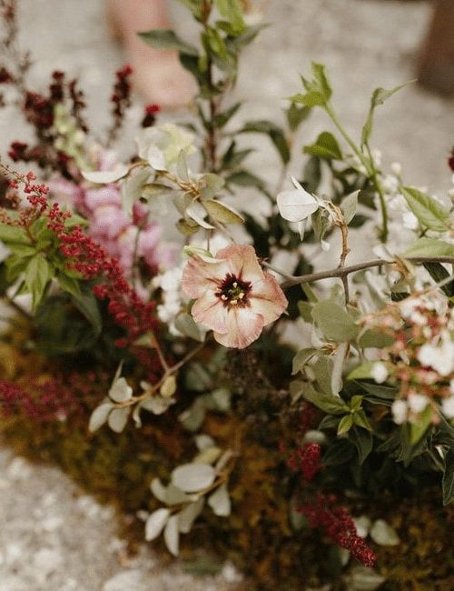 Genevieve Floral Event Designer